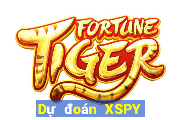 Dự đoán XSPY ngày 17