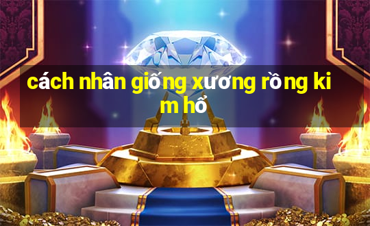 cách nhân giống xương rồng kim hổ