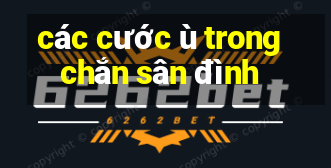 các cước ù trong chắn sân đình