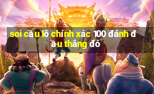 soi cầu lô chính xác 100 đánh đầu thắng đó