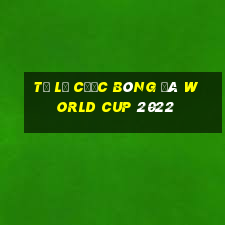 tỷ lệ cược bóng đá world cup 2022