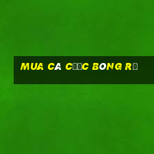 Mua cá cược bóng rổ