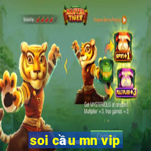 soi cầu mn vip