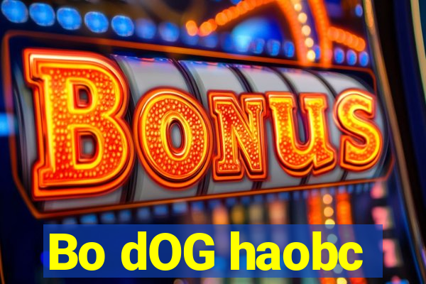 Bo dOG haobc