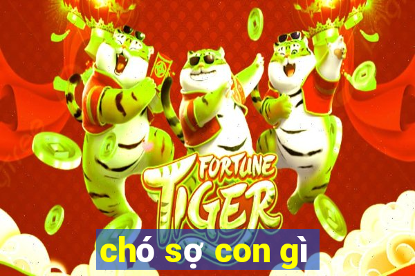 chó sợ con gì