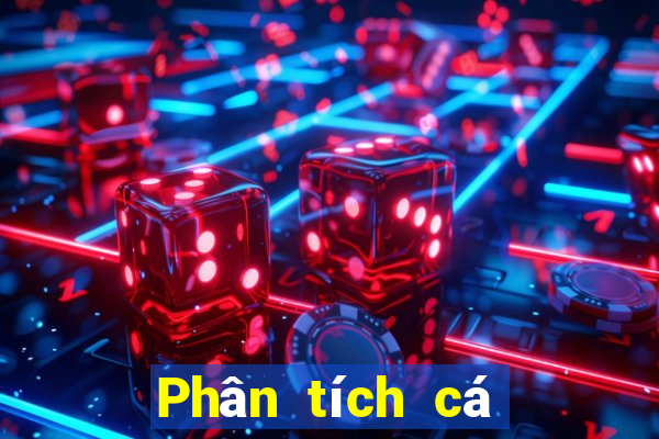 Phân tích cá cược bóng rổ