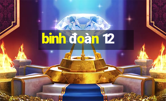 binh đoàn 12