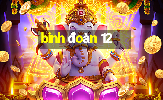 binh đoàn 12