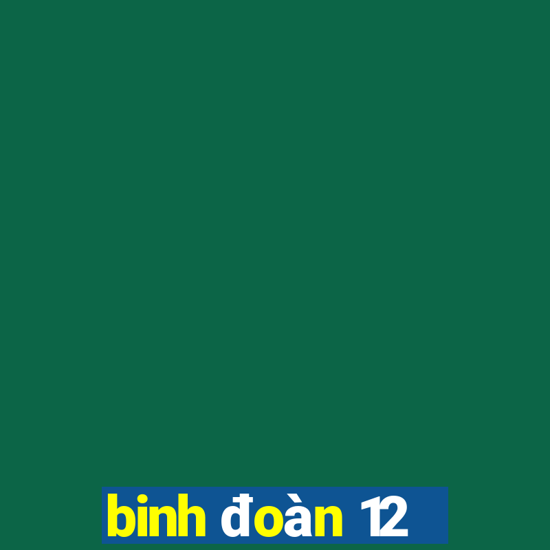 binh đoàn 12