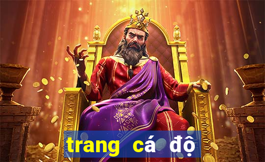 trang cá độ bóng đá