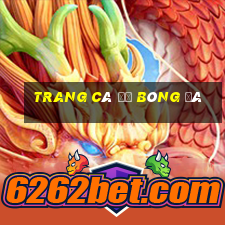 trang cá độ bóng đá