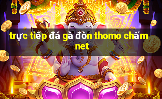 trực tiếp đá gà đòn thomo chấm net