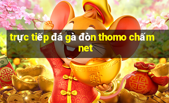 trực tiếp đá gà đòn thomo chấm net