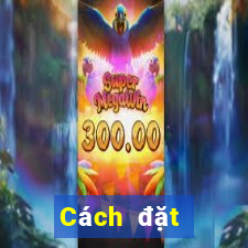 Cách đặt cược XSMT ngày 8