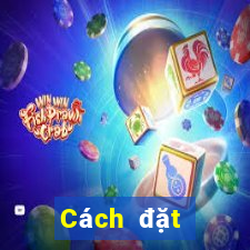 Cách đặt cược XSMT ngày 8