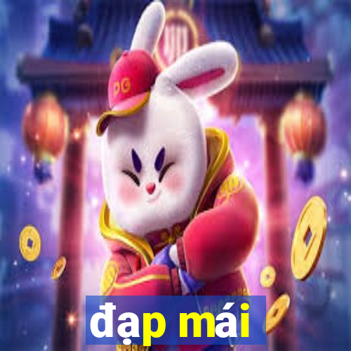 đạp mái