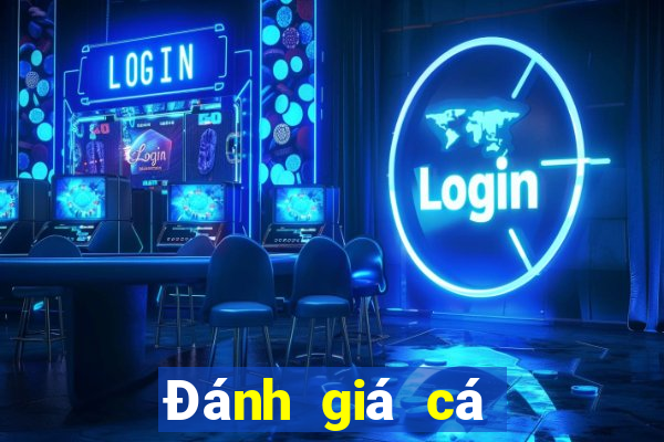 Đánh giá cá cược wed toàn bộ