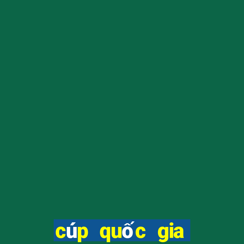 cúp quốc gia lịch thi đấu