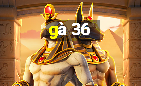 gà 36