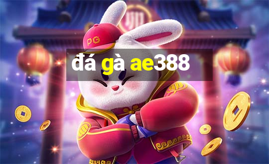 đá gà ae388