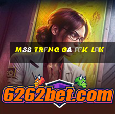 M88 Trứng gà Đắk Lắk