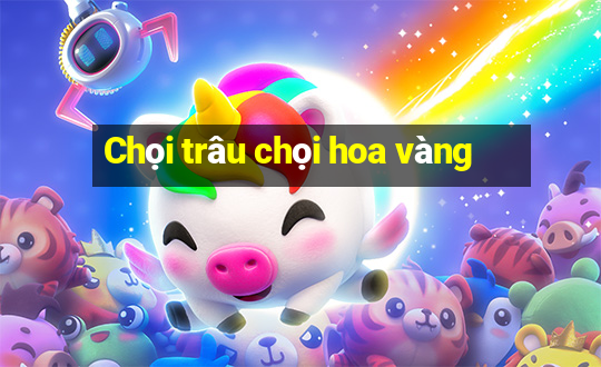 Chọi trâu chọi hoa vàng