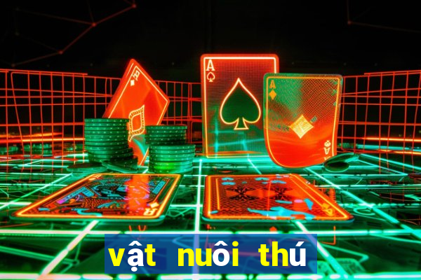 vật nuôi thú cưng đồng tháp