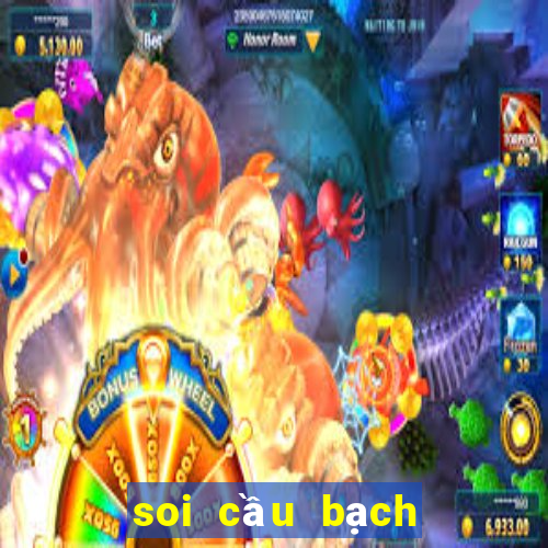 soi cầu bạch thủ 247 com