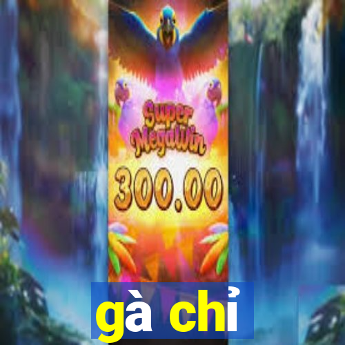 gà chỉ