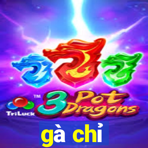 gà chỉ