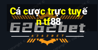 Cá cược trực tuyến tf88