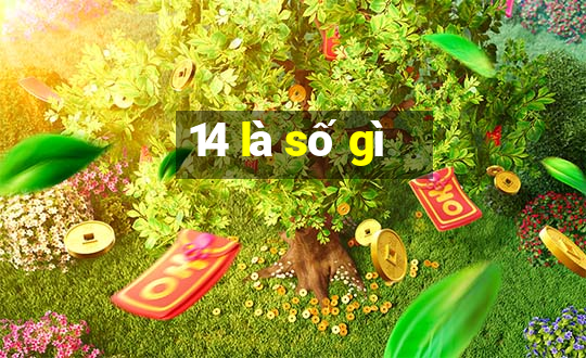 14 là số gì