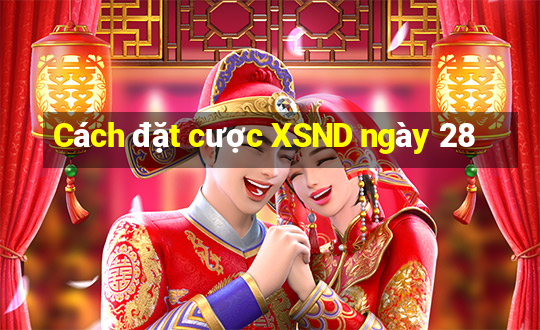 Cách đặt cược XSND ngày 28