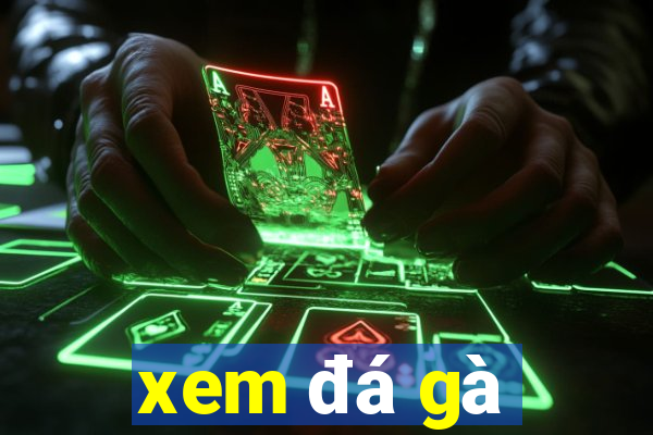 xem đá gà