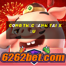 công thức đánh tài xỉu