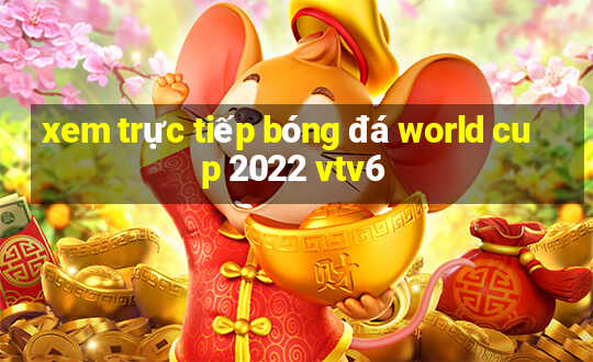 xem trực tiếp bóng đá world cup 2022 vtv6