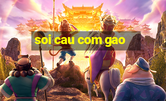 soi cau com gao