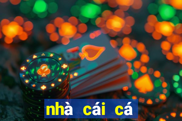 nhà cái cá cược bóng đá