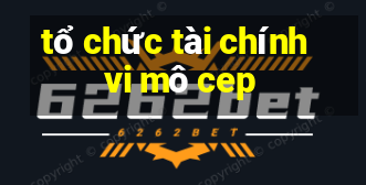 tổ chức tài chính vi mô cep