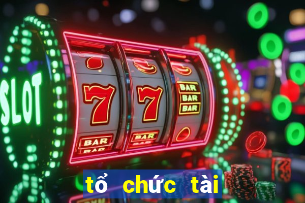 tổ chức tài chính vi mô cep