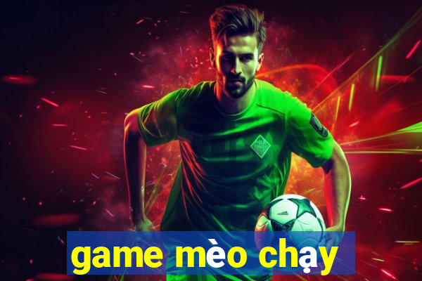 game mèo chạy