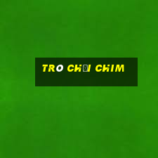 trò chơi chim