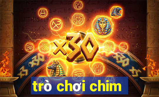 trò chơi chim