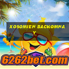 xosomien bachomnay