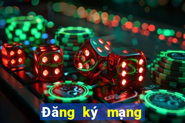 Đăng ký mạng điện tử bbin