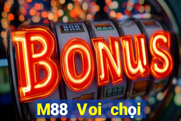 M88 Voi chọi địa chủ