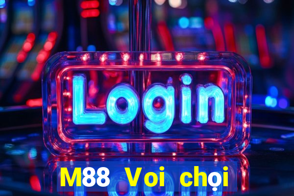 M88 Voi chọi địa chủ