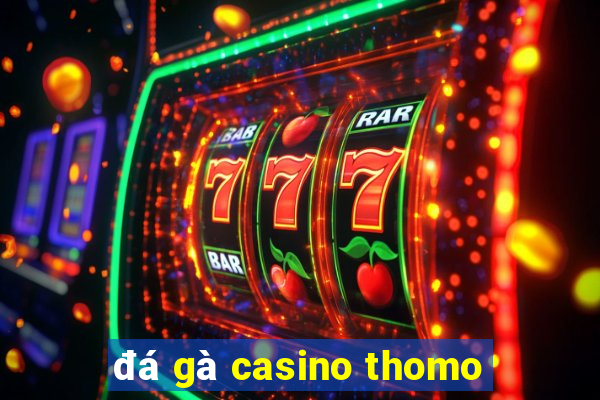 đá gà casino thomo