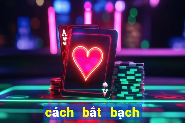 cách bắt bạch thủ lô khung 5 ngày