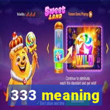 333 meaning